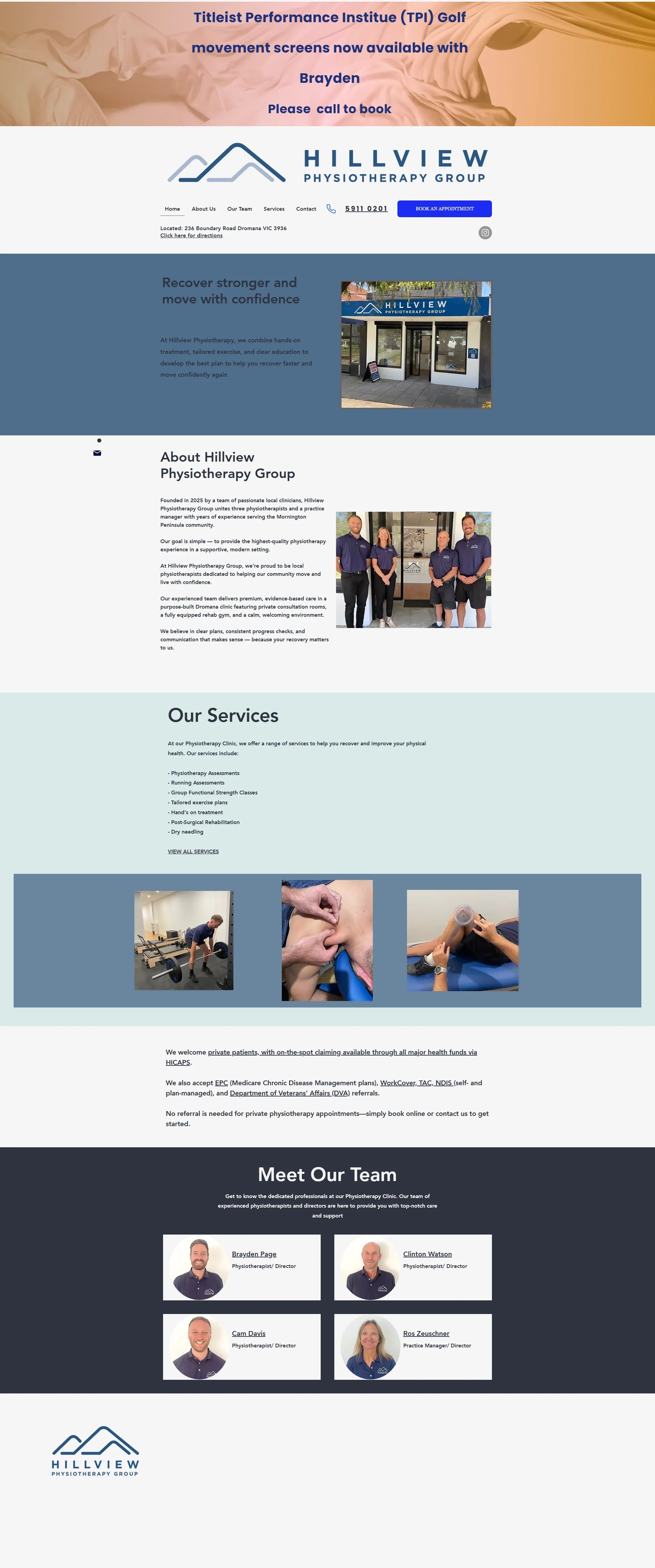 Original Hillview Physiotherapy Group website desktop screenshot
